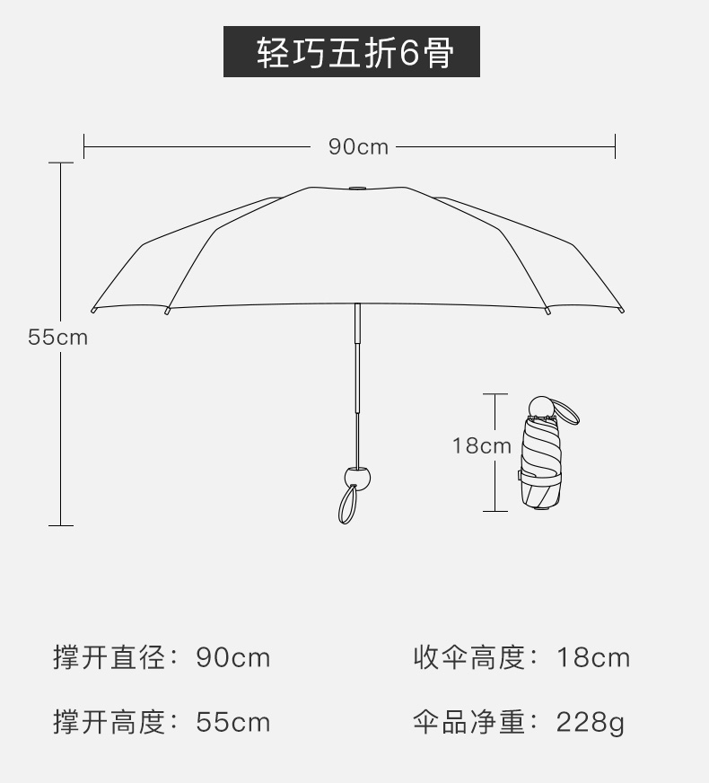 6骨雨伞